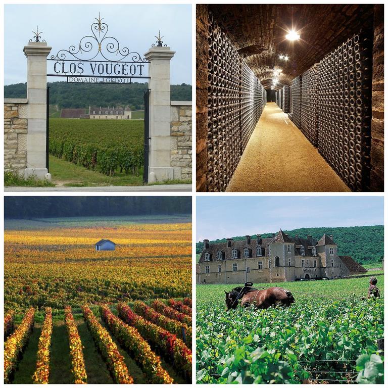 Datcha Bourguignonne Beaune Beaune  Eksteriør bilde